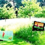 Semaine culturelle de la HEP Vaud